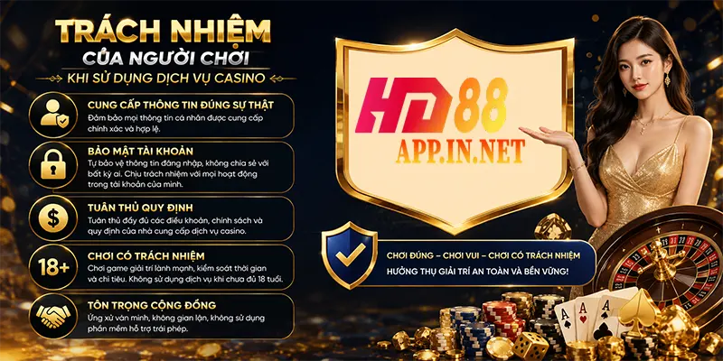 Trách nhiệm của người chơi khi sử dụng dịch vụ